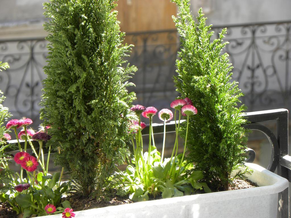 Prince Machabeli Apartments Tbiliszi Kültér fotó